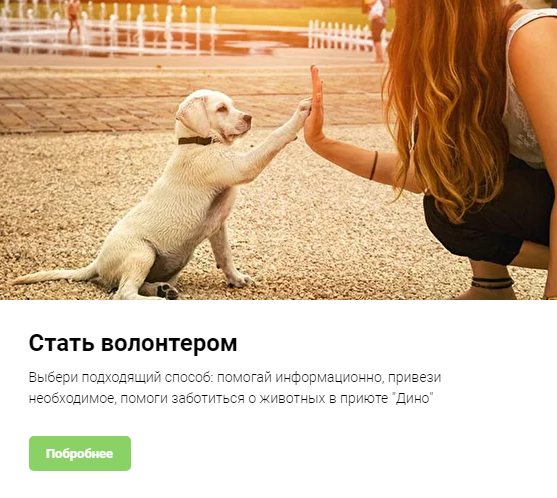 дино