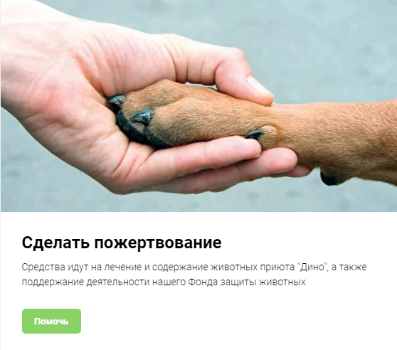 дино1